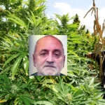 piantagione di marijuana, Ciro Gargiulo